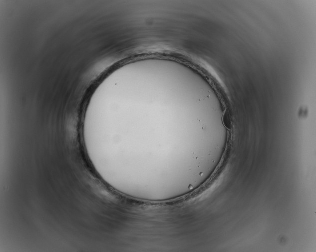 X0000102240778200807250836
