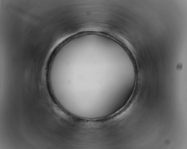X0000102240779200807250836