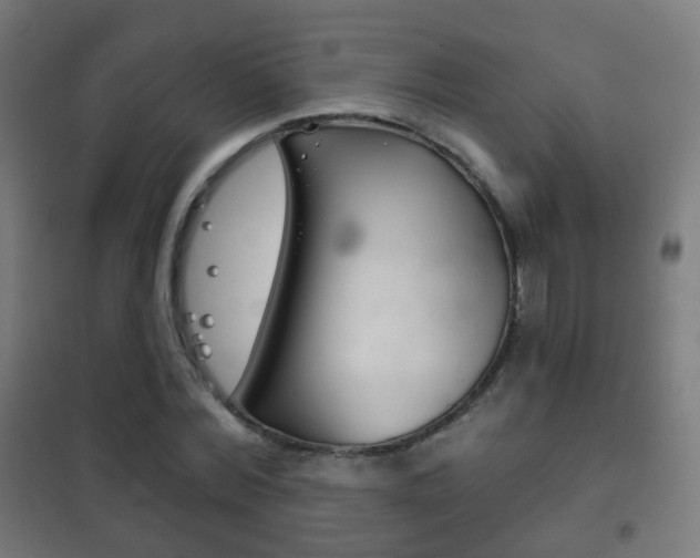 X0000102240780200807250836