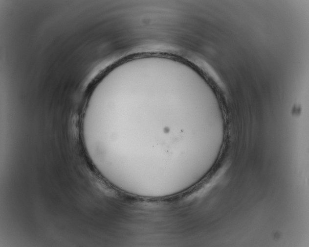 X0000102240781200807250836