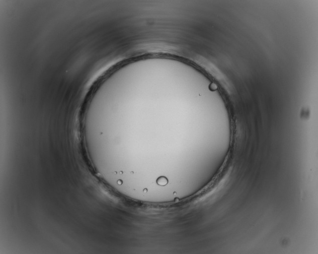X0000102240782200807250836