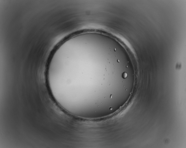 X0000102240783200807250836