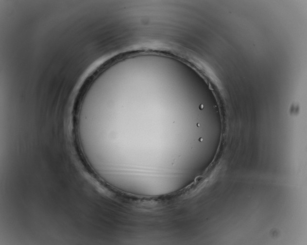 X0000102240784200807250836