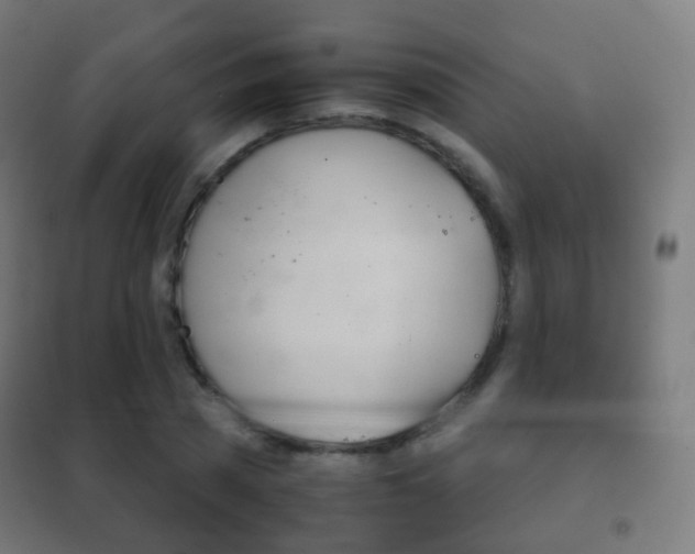 X0000102240785200807250836