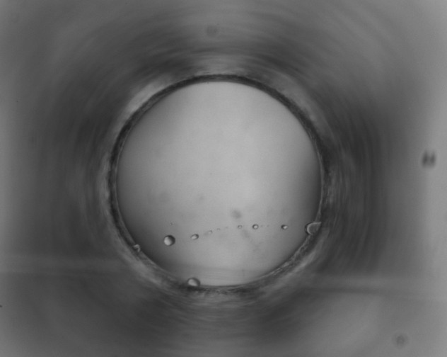 X0000102240786200807250836