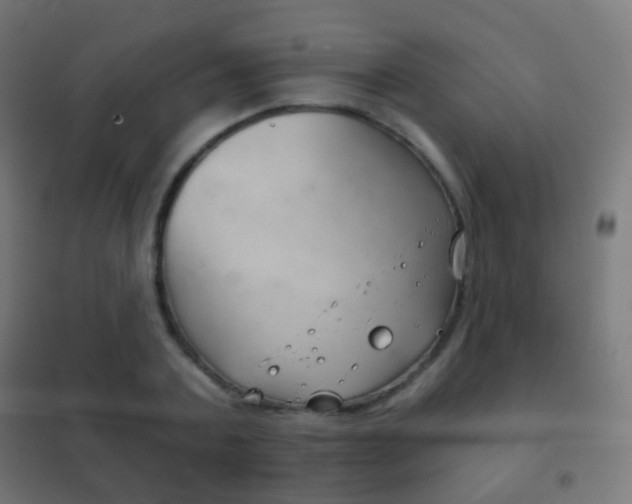X0000102240787200807250836