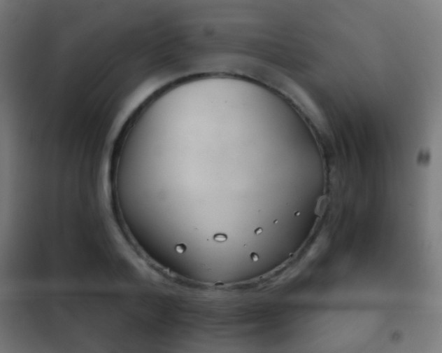 X0000102240788200807250836