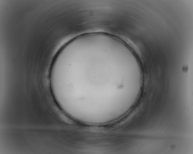 X0000102240789200807250836
