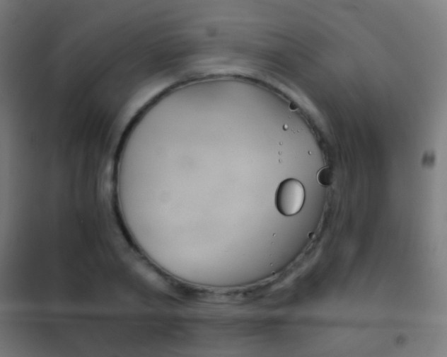 X0000102240790200807250836