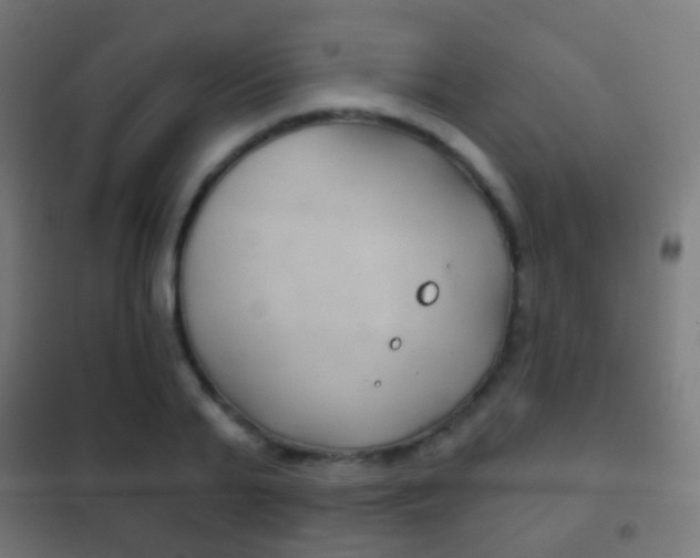 X0000102240791200807250836