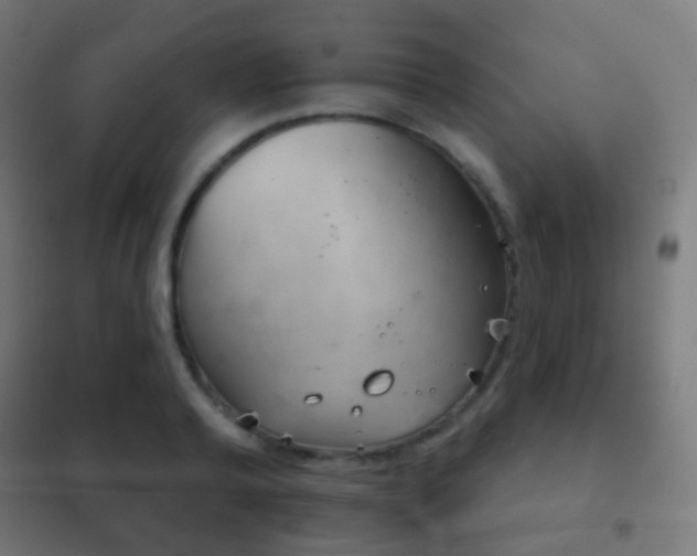 X0000102240792200807250836