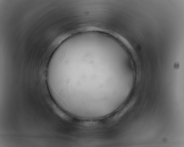 X0000102240793200807250836