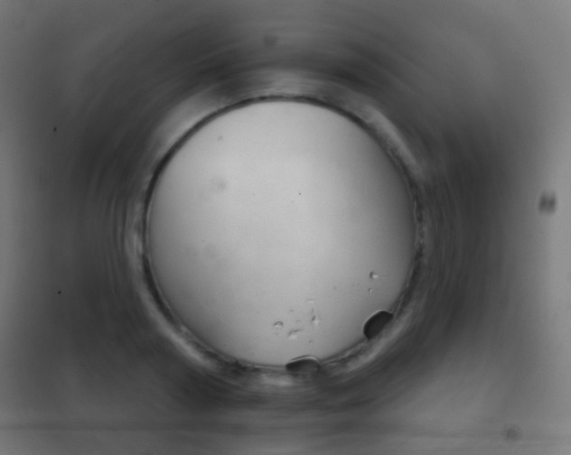 X0000102240794200807250836