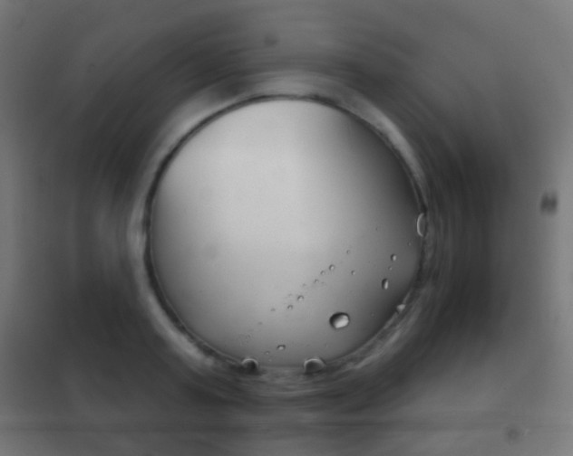 X0000102240795200807250836