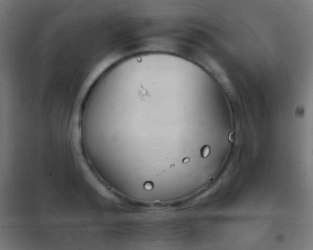 X0000102240796200807250836