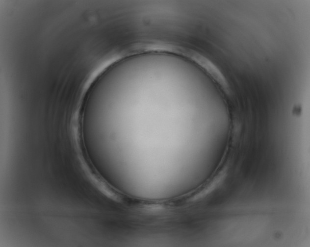 X0000102240798200807250836
