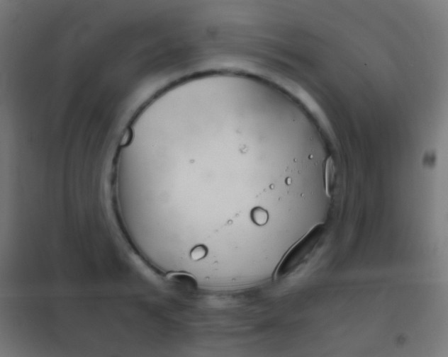 X0000102240799200807250836