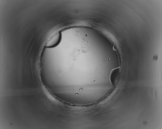 X0000102240800200807250836