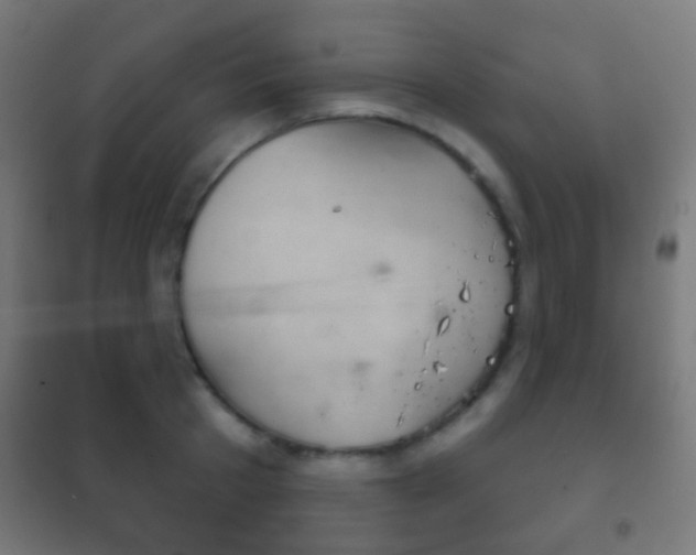 X0000102240801200807250836