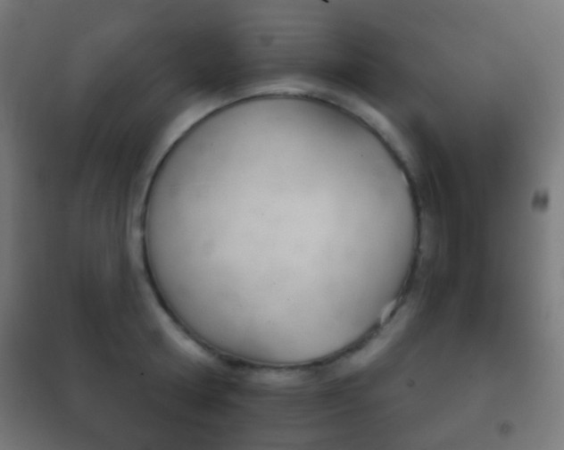 X0000102240802200807250836