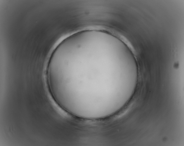 X0000102240803200807250836
