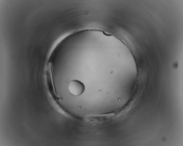 X0000102240804200807250836