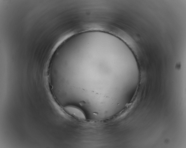 X0000102240806200807250836
