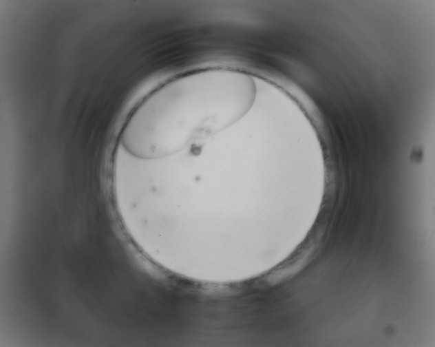 X0000102240807200807250836
