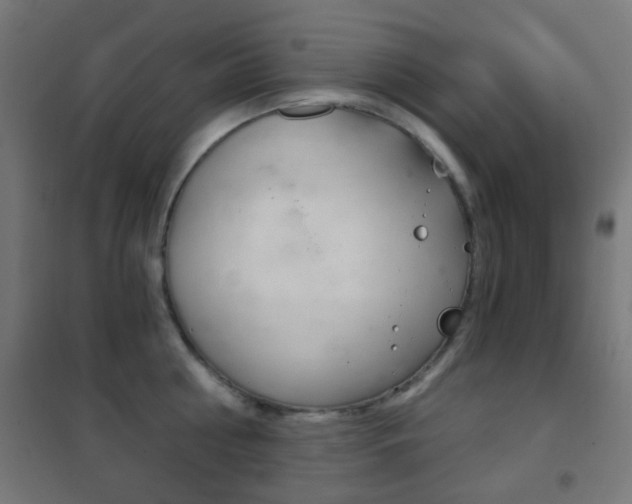X0000102240810200807250836