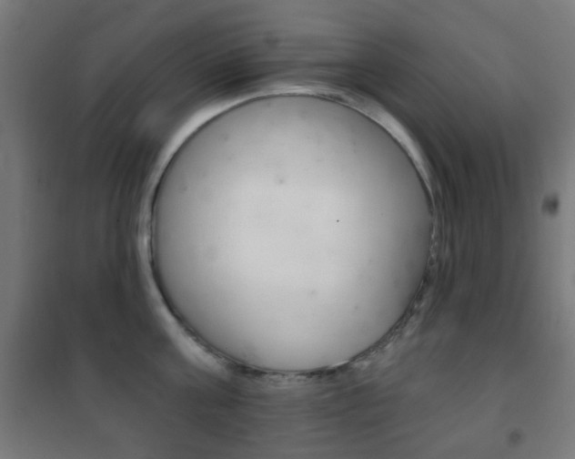 X0000102240811200807250836