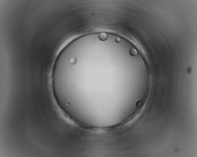 X0000102240814200807250836