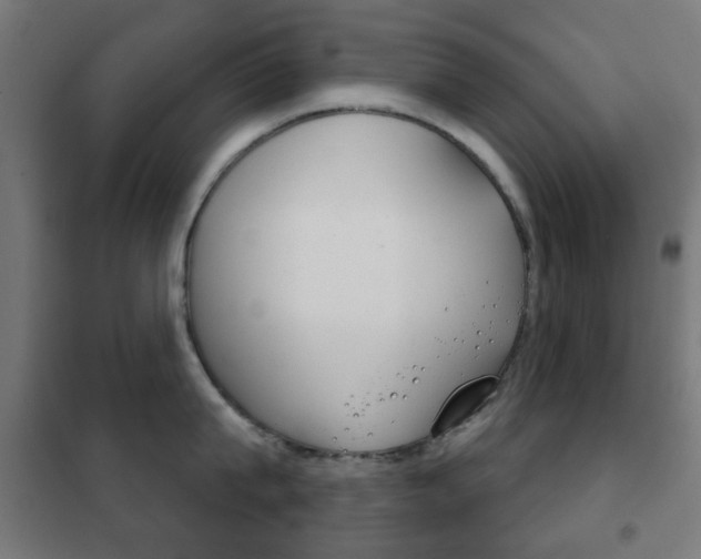 X0000102240815200807250836