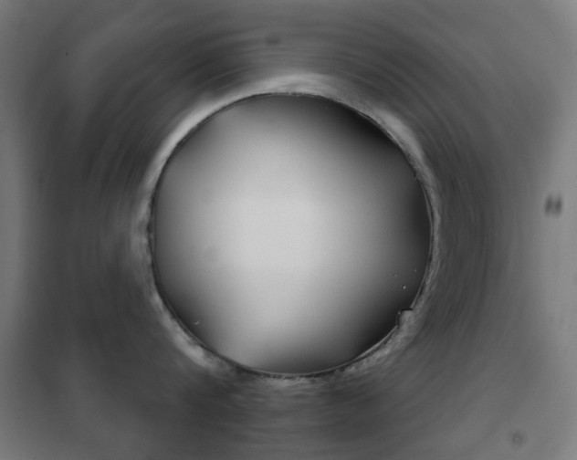 X0000102240816200807250836