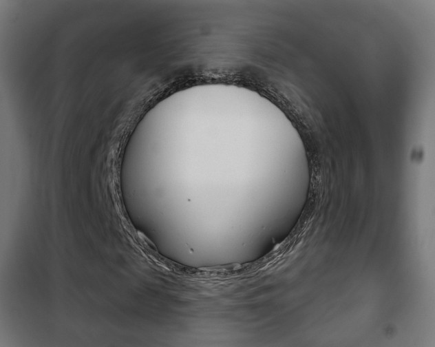X0000102240817200807250835