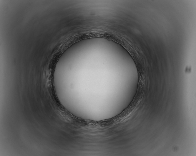 X0000102240818200807250835
