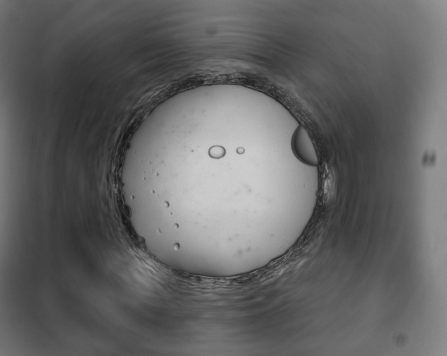 X0000102240819200807250835