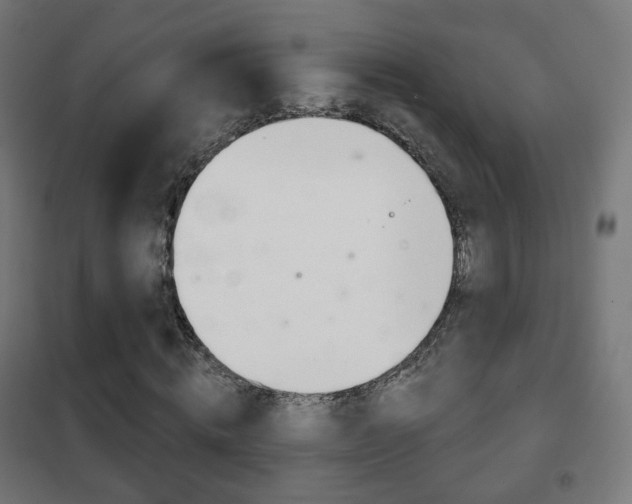 X0000102240820200807250835