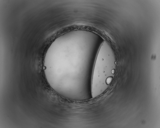 X0000102240821200807250835