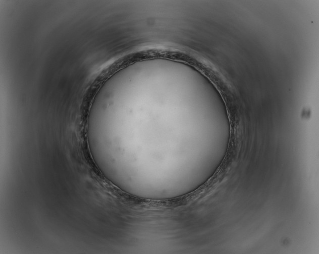 X0000102240822200807250835