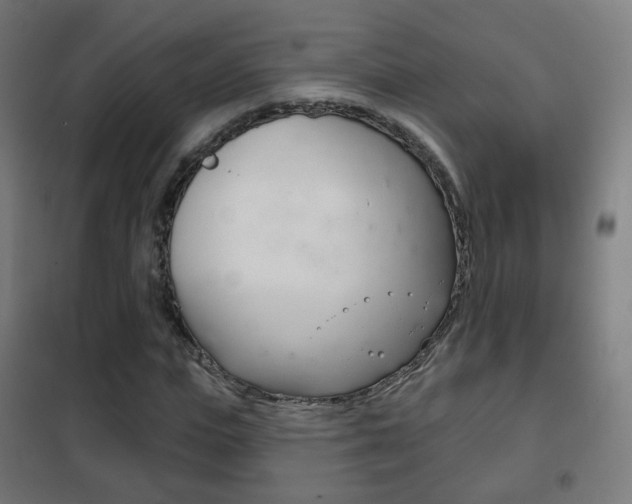 X0000102240823200807250835