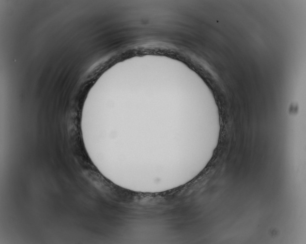 X0000102240824200807250835