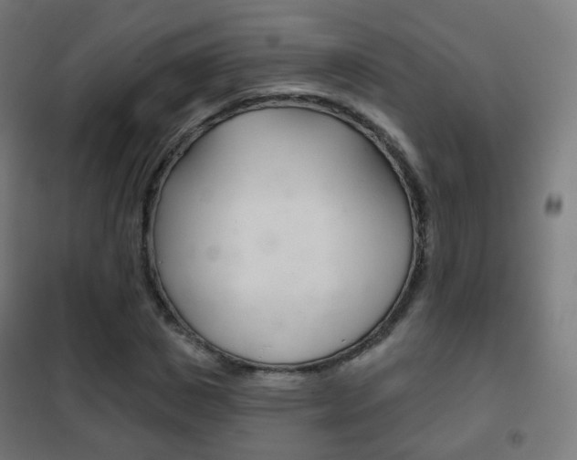 X0000102240825200807250835