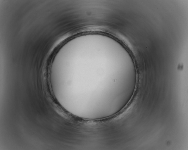 X0000102240827200807250835