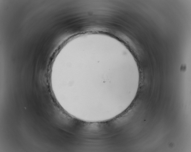 X0000102240828200807250835