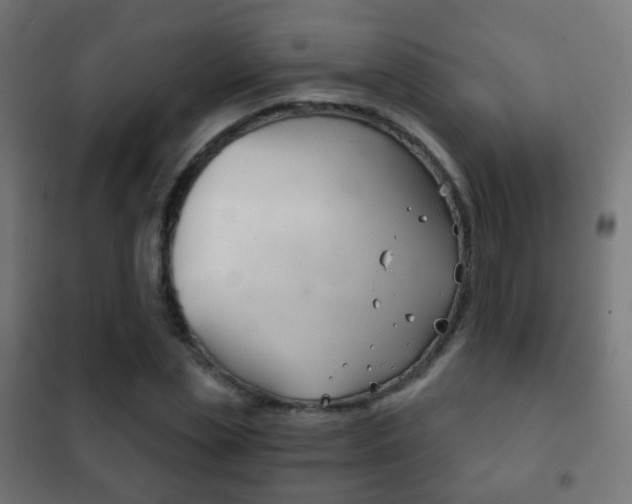 X0000102240829200807250835