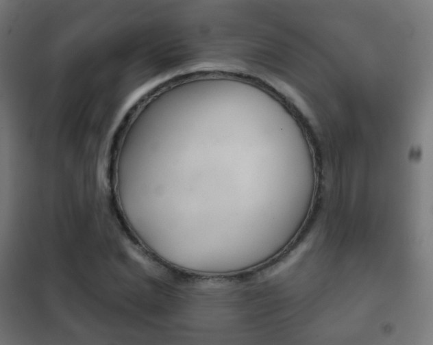 X0000102240830200807250835