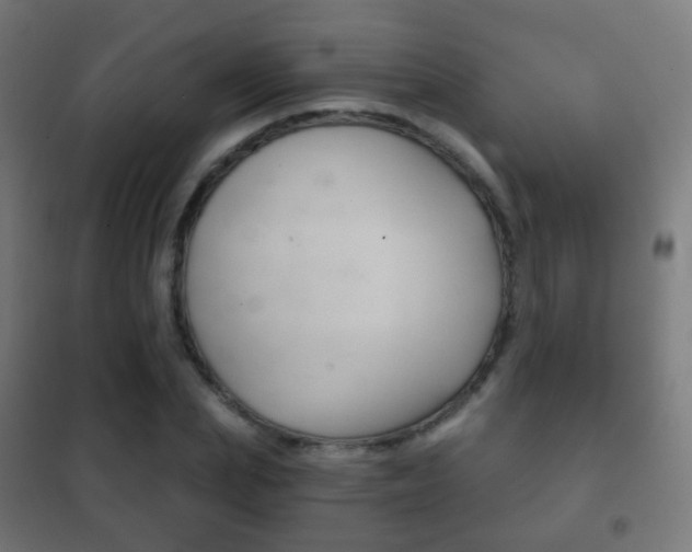 X0000102240831200807250835