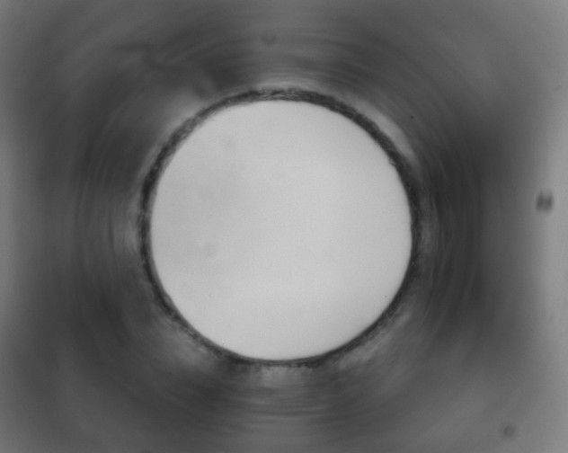 X0000102240832200807250835