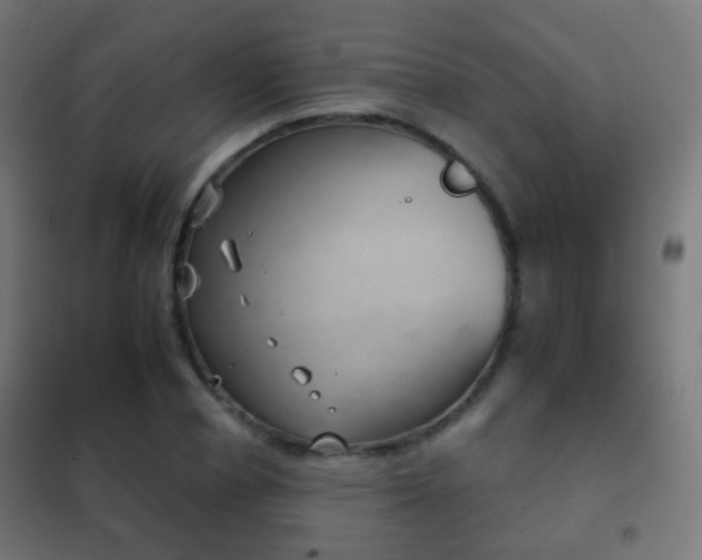 X0000102240834200807250835