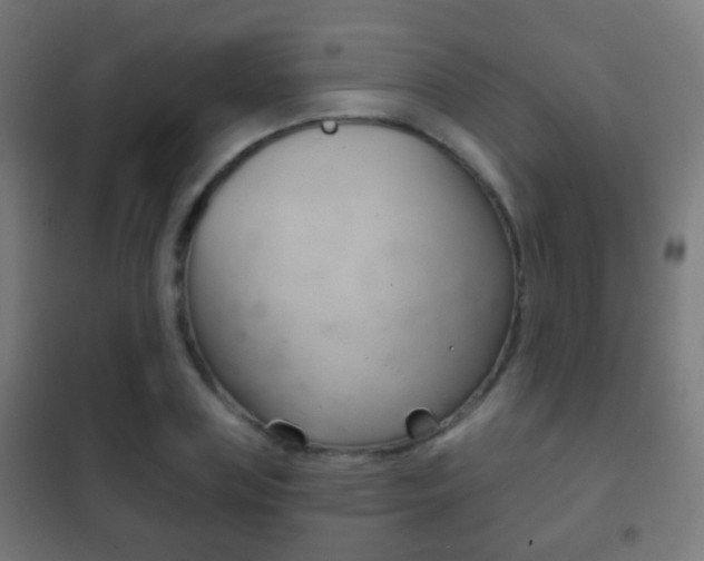 X0000102240835200807250835